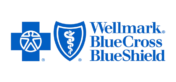 Wellmark BCBS removebg preview